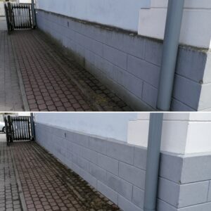 95481211_3809291072445807_8624941375781076992_n